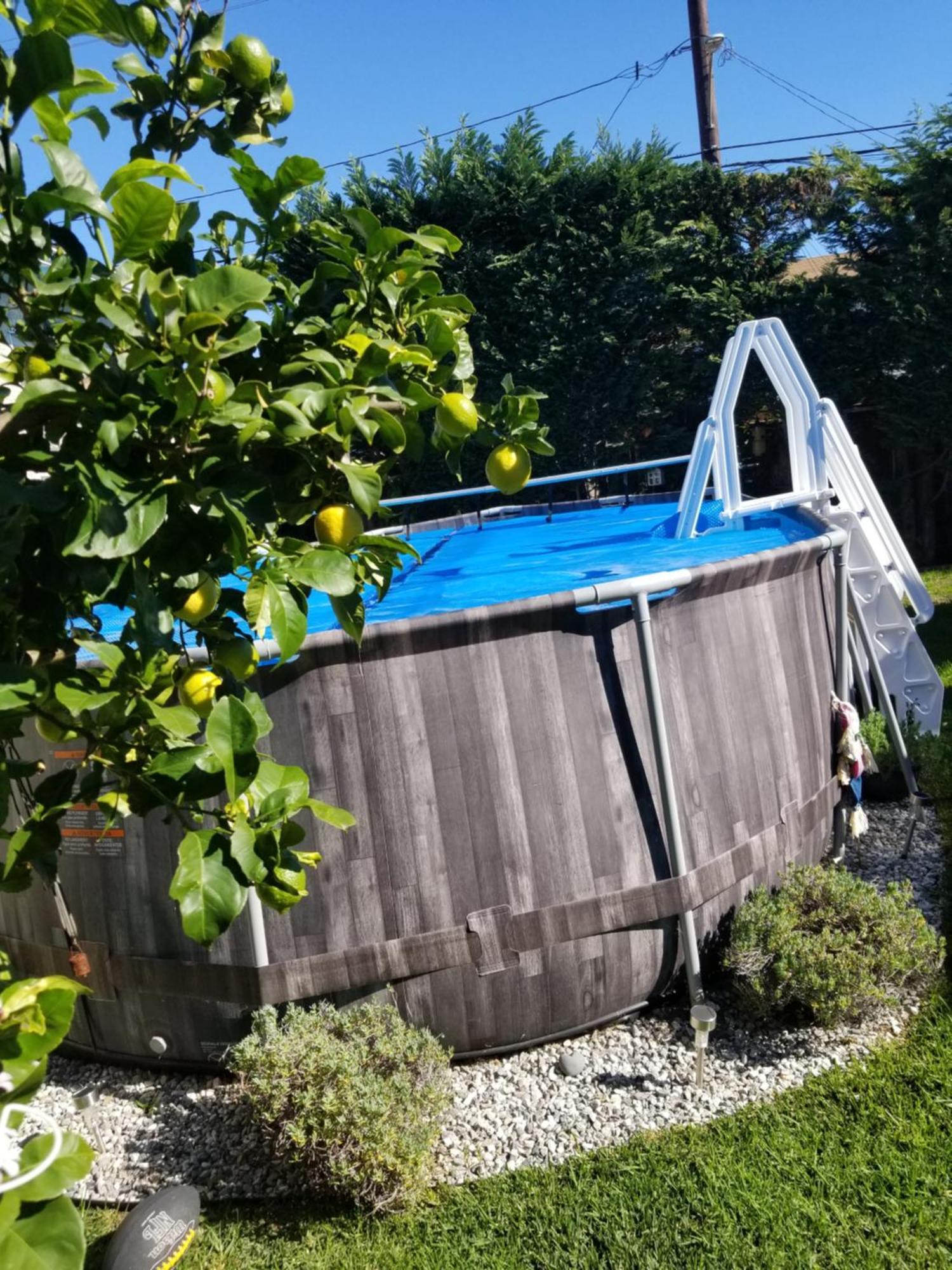 Studio In Southbay Close To The Beach Sofi Stadium Lax Lawndale Ngoại thất bức ảnh